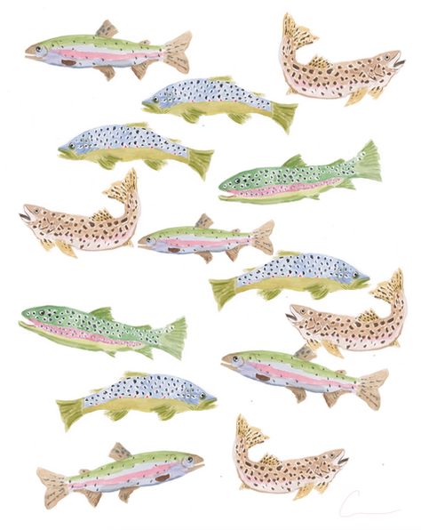 Trout Hover PRINT Bunny Print, Fish Print, Pretty Prints, Work It, New Wall, Framed Tv, Wall Collage, Original Work, Custom Framing