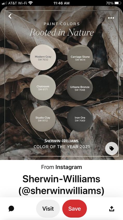 Moody Home Exterior Colors, Sherwin Williams Chatroom, Chatroom Sherwin Williams, Sw Carriage Stone, Fireplace Colors Painted Brick, Indoor Paint Colors, Paint Color Inspiration, House Color Palettes, Neutral Paint