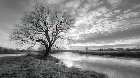 river tree in black and white Background Horizontal Black And White Aesthetic, Black And White Aesthetic Landscape, White Aesthetic Landscape, Aesthetic Landscape, Ad Background, Black And White Background, Background White, Black And White Aesthetic, Background Abstract