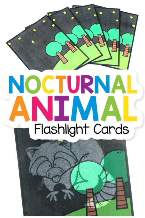 Nocturnal Animals Science Preschool, Forest Animal Literacy Activities Preschool, Diurnal Animals Preschool, Nocturnal Animals Dramatic Play, Nocturnal And Diurnal Animal Activities, Night Animals Activities, Nocturnal Activities Preschool, Diurnal And Nocturnal Animals, Nocturnal Animals Preschool Science