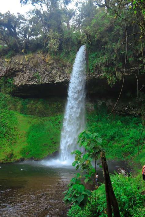 Waterfall Mt.Kenya Castle Forest Tembea Kenya #kenya Mt Kenya, The Great Rift Valley Kenya, Kalu Waterfall, Kakamega Forest Kenya, Knysna Forest South Africa, Kenya, Hiking, Forest, Castle