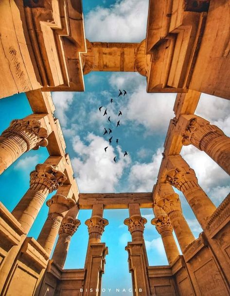 Visit Egypt
Egyptian temple
Egyptology Pharoah Egyptian, Egyptian Palace, Ancient Egypt Architecture, Anunnaki Aliens, Egyptian Temple, Moodboard Ideas, Like Animals, Sitting Area, Ancient Civilizations