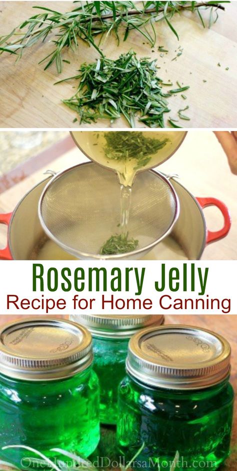 Canning 101 - How to Make Rosemary Jelly - One Hundred Dollars a Month Rosemary Jelly Recipe, Rosemary Growing, Rosemary Jelly, Canning 101, Growing Rosemary, Canning Jam, Jelly Recipe, Jam And Jelly, Jelly Recipes