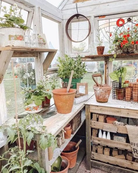 Potting Shed Exterior Ideas, Cute Greenhouse Interior, Dream Greenhouse Interior, She Shed Greenhouse Ideas, Greenhouse Set Up Inside, Greenhouse Interior Ideas, Potting Shed Ideas, Potting Shed Interior Ideas, Greenhouse Shed Combo