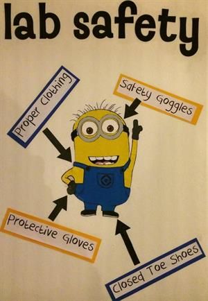 Lab Safety Poster, Science Lab Safety, Minion Classroom, Science Safety, Science Room, Science Classroom Decorations, Chemistry Classroom, Biology Classroom, 7th Grade Science