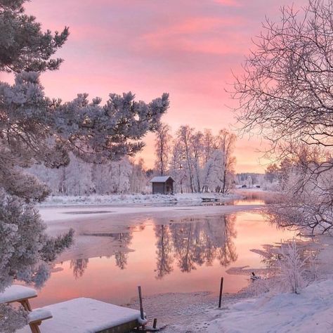 Walkin' in a winter wonderland... An actual winter wonderland in Sweden ❄️. Craving hot chocolate and blankets just looking at this! What are your fave winter travel destinations? Any bucket list places?? #travel #inspo #wanderlust Trees, Cabin, Lake, Instagram