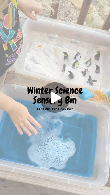 Hannah Sylcox, COTA on Instagram: "🐧 Winter Science Sensory Bin 🐧 What's better than a ✨ sensory science ✨ activity? For my kids, this is their favorite type of activity. It was so fun to witness their reactions as they observed the penguins fizz once they touched the water thanks to the reaction of the baking soda touching the vinegar water. ❄️ Here's how I put together this activity: I froze the penguins in a muffin tin with water overnight I put baking soda as "snow" in one bin I put vinegar + water + blue food coloring in the other bin I added all of my winter animals + water droppers And I let them explore and play! Let me know if this is one you'll try! Fair warning, it can get messy, so we chose to do it on a warmer day outside. ❄️💙 #sensoryscience #sensoryscienceplay #littles Science Sensory Bin, Preschool Seasons, Winter Sensory Bin, Sensory Science, Seasons Preschool, Winter Science, The Penguins, Blue Food Coloring, Blue Food