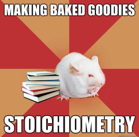 Stoichiometry! Biology Jokes, Biology Memes, Chemistry Puns, Lab Humor, Clinical Laboratory, Science Major, Biology Major, Nerdy Jokes, Nerdy Humor