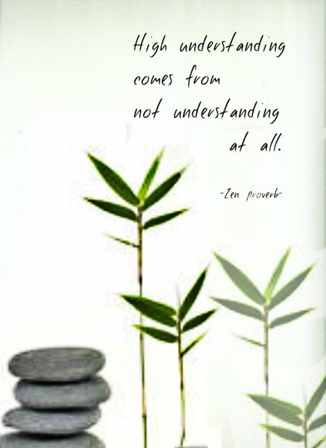 High understanding comes from not understanding at all. (Zen proverb) Daoism Quotes, Zen Proverbs, Draw Wings, Lao Tzu Quotes, Not Understanding, Zen Philosophy, Buddhist Wisdom, Zen Quotes, Buddha Zen