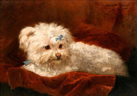 Here we have a painting of Love....I think it was his mommy who painted her Maltese who looks sooo cute and spoiled with his little bow on his velvet pillow....The painting is from the 19th century, I found it in a Gallery :-) Rococo Painting, Canine Art, Maltese Dogs, Cat Character, White Dog, Old Paintings, Vintage Dog, White Dogs, Dog Paintings