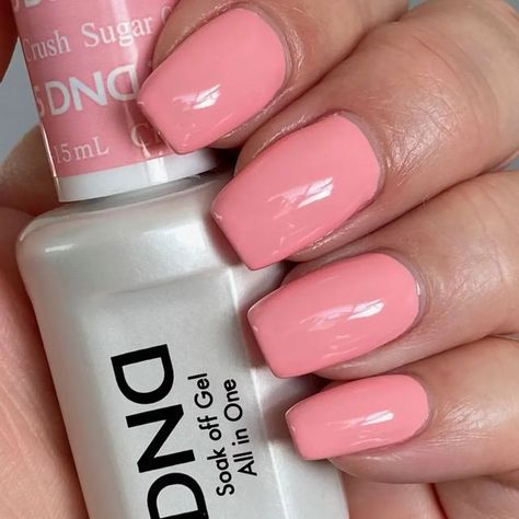 Dnd Sugar Crush, Spring Nails Dnd, Kuwait Fashion, Dnd Gel Nail Polish, Dnd Gel Polish, Polish Colors, Hard Gel, Soak Off Gel, Nail Polish Colors