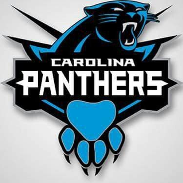 Panthers Georgia Football Team, Nba Logos, Nfl Logos, Carolina Panthers Logo, Panthers Logo, Panther Nation, Carolina Panthers Football, Panther Logo, Georgia Football