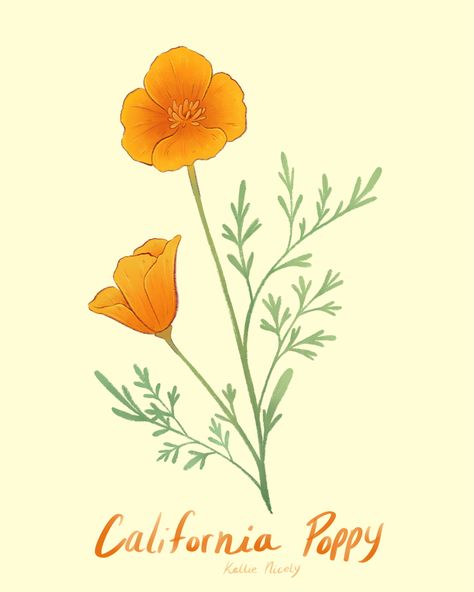 California Poppy Botanical Illustration, California Poppy Drawing, California Poppy Tattoo, California Poppy Flower, California Poppy Art, Strawberry Cereal, Poppy Tattoo, Photography Tattoo, Poppy Drawing