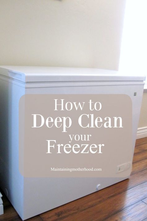 How To Clean Freezer, Deep Freezer Organization, Chest Freezer Organization, Deep Freezer, Crock Pot Dips, Cleaning And Organizing, Freezer Organization, Deep Freeze, Dorm Room Diy