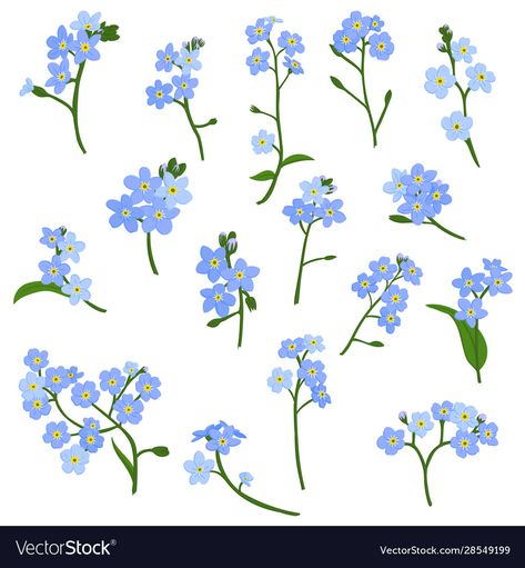 Blue Star Flower Drawing, Scorpion Grasses Tattoo, Pottery Painting Forget Me Not, Forget Me Not Botanical Illustration, Forget Me Not Doodle, Forget Me Not Flowers Drawing Simple, Forget Me Not Drawing Simple, Forget Me Not Nails, Forget Me Not Illustration