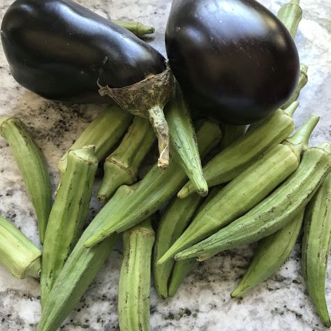 Farm Fresh for Eggplant Okra Curry During the summer, local fresh produce is abundant like eggplants and okra. Perfect for this simple eggplant okra curry dish that's vegetarian. As I am traveling up the East Coast of the US on my way to our new home in Newport, Rhode Island, I plan on taking advantage of locally grown produce.   #curry #eggplant okra curry #foodie #freshfoodmatter Okra And Eggplant Recipe, Curry Eggplant, Baked Okra, How To Cook Okra, Okra Curry, Thai Eggplant, Okra And Tomatoes, Eggplant Curry, Curry Ingredients