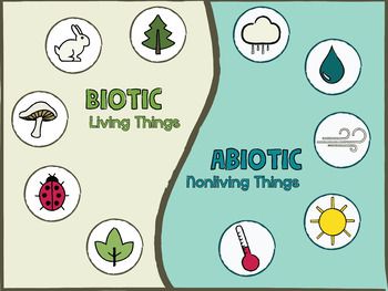 Biotic And Abiotic Resources, Biomolecules Poster, Biotic Factors, Abiotic Factors, Biodiversity Lessons, Biodiversity Grade 6, Agricultural Engineering, Crop Production, Bts Aesthetic Wallpaper For Phone