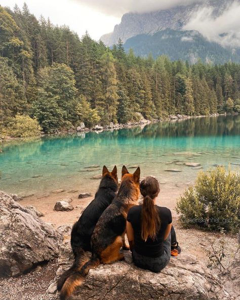 Hiking Picture Ideas, Dog Photoshoot Pet Photography, German Shepherd Photos, Hiking Pictures, Hiking Dogs, Popular Dog Breeds, Most Popular Dog Breeds, Adventure Aesthetic, Dog Adventure