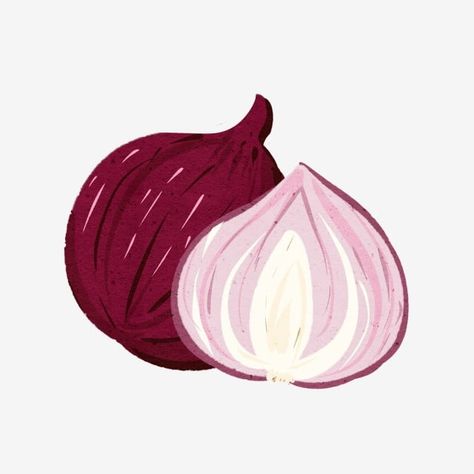 onion,vegetables,onion clipart Onion Clipart, Simple Logo Inspiration, Onion Illustration, Onion Cartoon, Onion Drawing, Aidil Adha, Vegetable Cartoon, Vegetable Illustration, Advertising Illustration