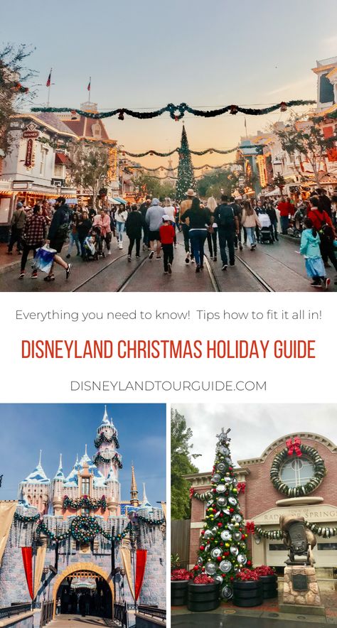 Disneyland Christmas 2023, Christmas Disneyland Aesthetic, Disneyland Christmas Outfit Family, Disneyland In December Outfits, Disneyland December, Disneyland In December, Christmas In Disneyland, Disneyland At Christmas, Disneyland Christmas Outfit