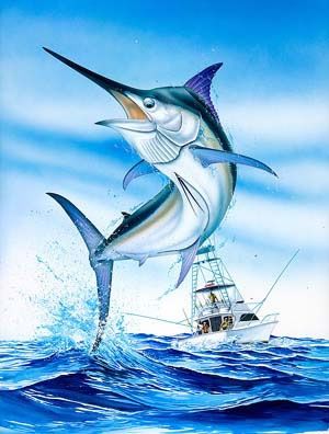 Sailfish Art, Fish Fishing Illustration, Sailfish Illustration, Guy Harvey Art, Swordfish Illustration, Sail Fish, Terry Fox, Craig Smith, Marlin Fish