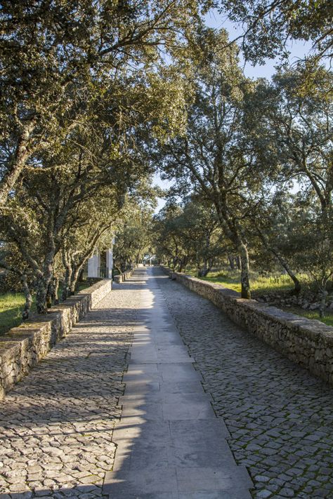 Cobblestone Road, Fatima Portugal, Australia Landscape, Stone Road, Brick In The Wall, City Design, Photo Editing Software, Reference Images, Cottage Core