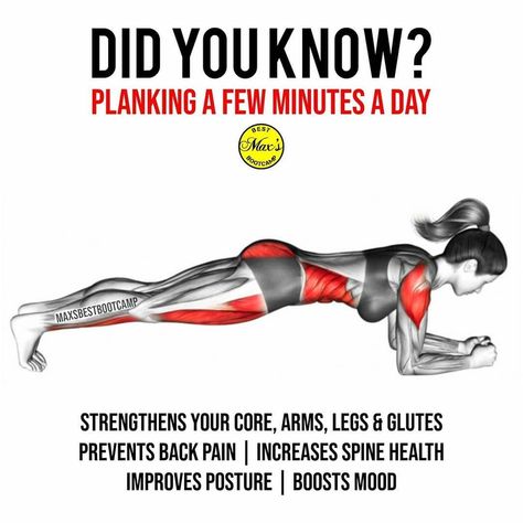 Calories Counter on Instagram: “PLANK BENEFITS‼️ Did you know this?😅 . Follow 👉 @calories.zero . . Tag a friend below so they can see this.⤵️ . . By 📸 @maxsbestbootcamp…” Plank Benefits, Workout Bauch, Yoga Beginners, Spine Health, Plank Workout, Crossfit Games, Fitness Gear, Mood Boost, Chronic Condition