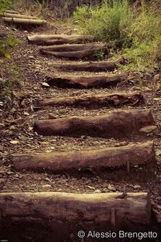 ... Steep Hillside Landscaping, Landscape Stairs, Mountain Rock, Garden Stairs, Outdoor Steps, Hillside Landscaping, Sloped Garden, Garden Arbor, Garden Steps