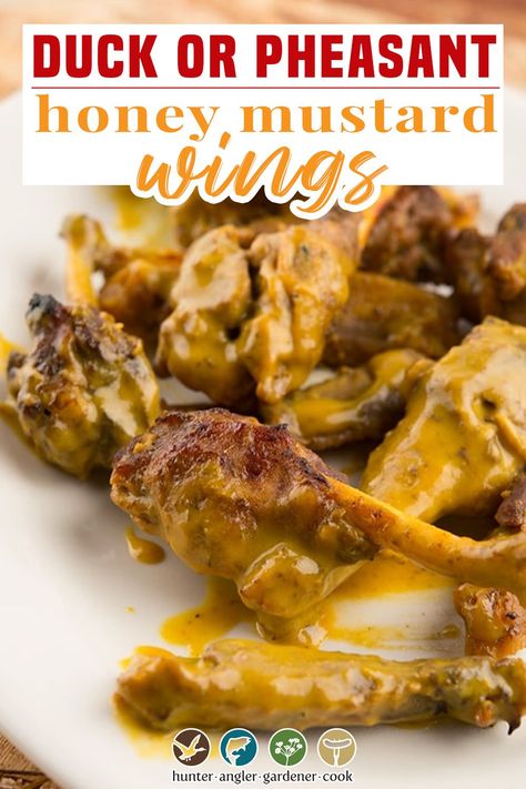 Mustard Wings Recipe, Duck Wings Recipe, Wild Duck Recipes, Honey Mustard Wings, Fishing Recipes, Duck Wings, Bird Recipes, Pheasant Recipes, Goose Recipes