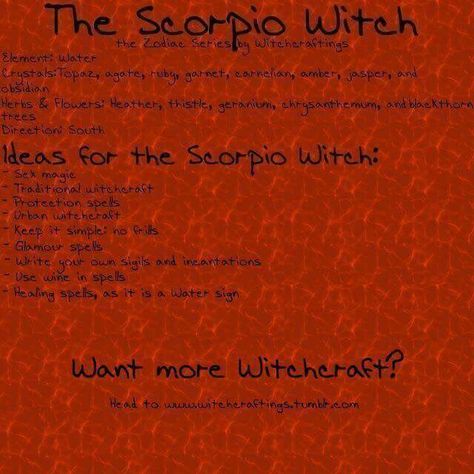 Scorpio witch Scorpio Witch, Irish Gods, Glamour Spell, Magickal Correspondences, Which Witch, Traditional Witchcraft, The Scorpio, Magic System, Wicca Witchcraft