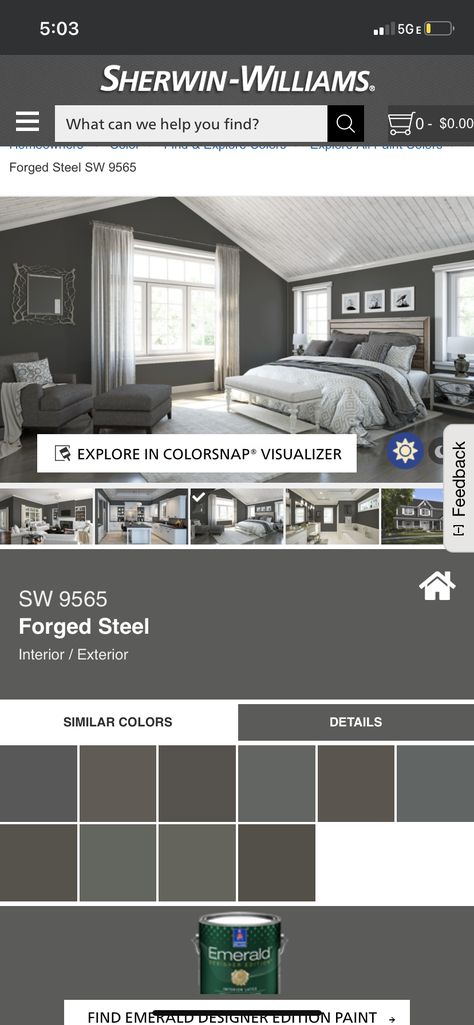 Sherwin Williams Forged Steel, Forged Steel Sherwin Williams, Forged Steel, Color Samples, Sherwin Williams, Kitchen Remodel, Interior And Exterior, Paint Colors, Bathroom Decor