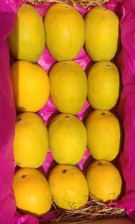 Naturally Ripped Authentic Delicious Alphonso Mango which is favored for its sweetness, richness and flavor at your doorstep on one call. 12 Mangoes = Rs 900/ 15 Mangoes = Rs 900/ Call us at: 9423137240/9284964416/8605006906 for home delivery We, Joshi Ambewale have a exclusive quality of Alphanso Mangoes or Hapus at reasonable prices.  #alphansomangoes #kingoffruits #hapus #naturalmangoes #mangoshake #alphansomangoshake #mangoinpune #mangoloverpune #mangomania #punemangolover #mango Mango Photoshoot, Mango Packaging, Biryani Rice Recipe, Mango Images, Salsa Mango, Alphonso Mango, Mango Smoothie Recipe, Smoothie Mango, Mango Cocktail