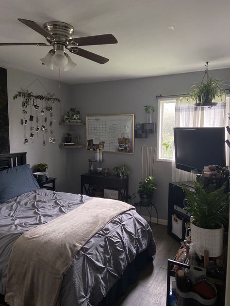 Bedroom Grey Aesthetic, Grey Plant Bedroom, Bedroom Decor Apartment Couple, Gray Wall Bedroom Ideas Decorating Cozy, Bedroom With Low Light, Low Light Plants Indoor Bedroom, Low Light Bedroom, Carpet Room Ideas Bedrooms, Low Light Bedroom Ideas