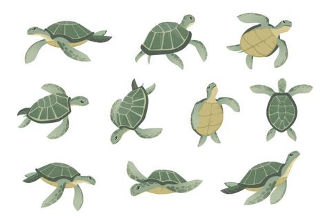 3,000+ Sea Turtle Illustrations, Royalty-Free Vector Graphics & Clip Art - iStock | Baby sea turtle, Sea turtle swimming, Sea turtle isolated Sea Turtle Cartoon, Cute Turtle Drawings, Turtle Cartoon, Sea Turtle Drawing, Sea Turtle Pictures, Cartoon Turtle, Turtle Drawing, Sea Illustration, Baby Sea Turtle