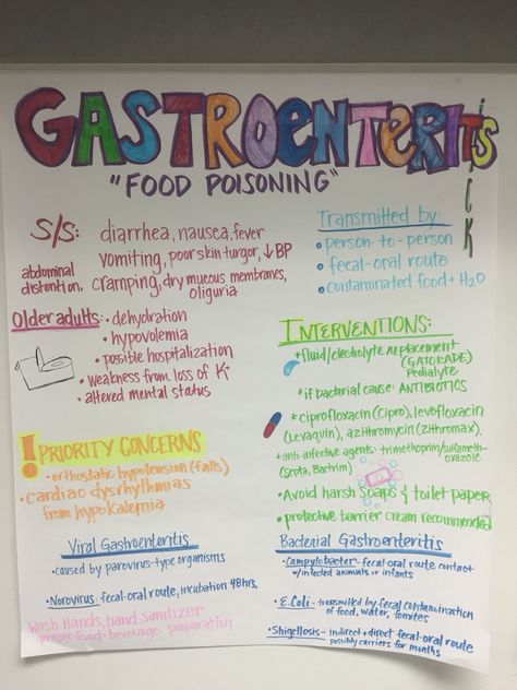 Gastroenteritis Nursing Gastrointestinal Disorders, Gi Nursing Notes, Gi Nursing, Gastrointestinal Nursing, Medical Assistant Certification, Nursing Hacks, Gi System, Nursing Diagnosis, Nutrition Store