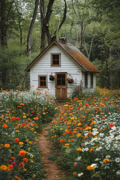 White Cottage In The Woods, Cottage In Meadow, Australian Cottage Exterior, Cottage In Field, Cozy House Exterior Small Cottages, Cottage Core Home Exterior, Small House In Woods, Small House In Nature, English Cottage Backyard