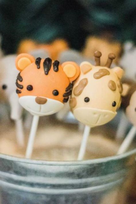 Jungle Cake Pops, Zoo Animal Cakes, Safari Birthday Party Ideas, Animal Cake Pops, Jungle Birthday Cakes, Jungle Safari Baby Shower, Jungle Thema, Wild Birthday Party, Giraffe Birthday