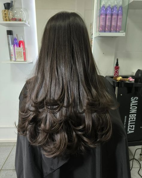 Professional Stylist, Hair Color Balayage, Hairstyles With Bangs, Hair Highlights, Medium Length, Balayage, Bangs, Hair Color, Hair Cuts