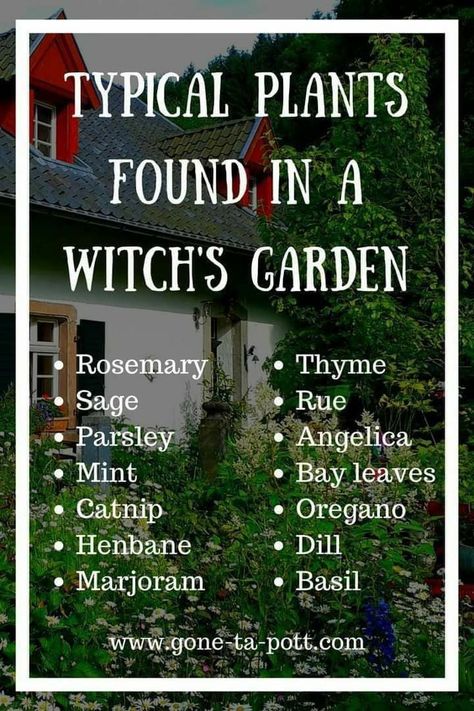 What Is A Witch, Witches Garden, Witch's Garden, Witchy Garden, Magickal Herbs, Witch Herbs, Green Witchcraft, Kitty Pryde, Herb Garden Design