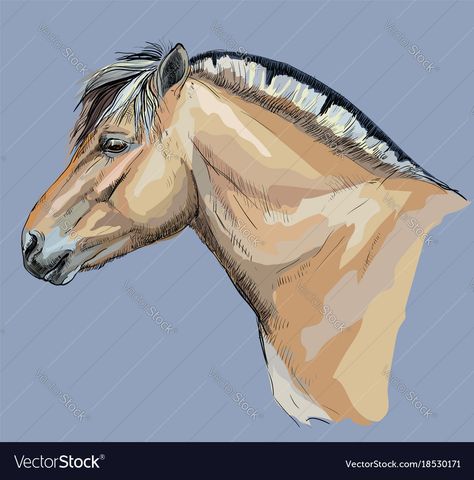 Fjord Horse, Horse Artwork, Hand Drawing, Horse Head, Blue Background, Blue Backgrounds, Png Images, Vector Images, Vector Free