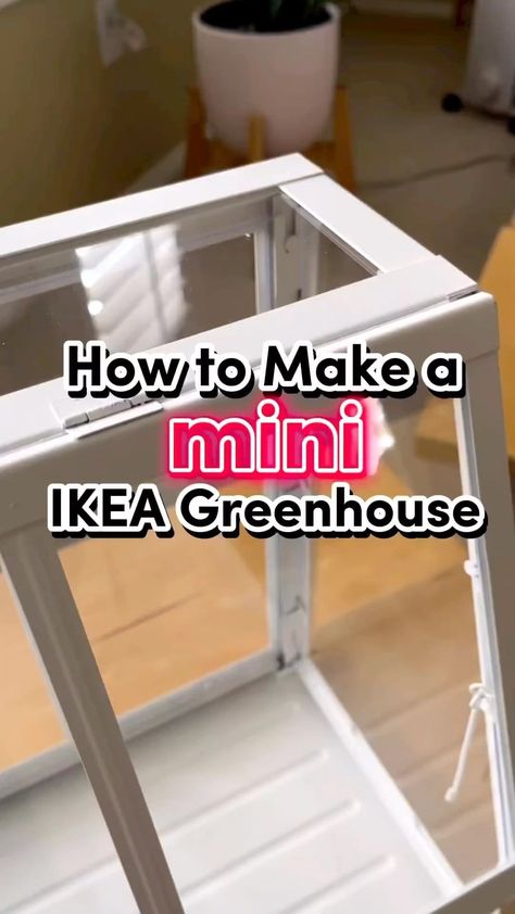 Planty Club | The mini greenhouse is a beginner friendly DIY that’s perfect for quarantining new plants, growing props, and helping small plants that… | Instagram Homemade Mini Greenhouse, Small Greenhouses Diy, Miniature Greenhouse Terrarium, Dollar Tree Greenhouse, Mini Green House Diy, Diy Table Top Greenhouse, Seed Starters Diy Mini Greenhouse, Diy Inside Greenhouse Ideas, Table Top Greenhouse Diy