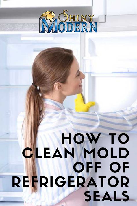 How To Clean Mold From Refrigerator Seal, How To Clean Mold From Fridge Seal, How To Clean Refrigerator Seals, Refrigerator Cleaning Hacks, How To Clean Fridge, How To Clean Refrigerator, Cleaning Refrigerator, Diy Mold Remover, Clean Black Mold