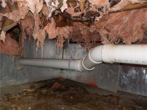 Signs and Solutions of Crawl Space Problems. Crawl Space Cover Ideas, Small Crawl Space Ideas, Crawl Space Ideas, Crawl Space Repair, Frozen Pipes, Hvac System, Hot Water Heater, Protecting Your Home, Home Repair