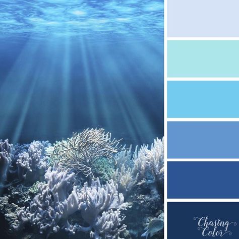 The sun rays Ocean Palette Colour Schemes, Underwater Color Palette, Axolotl Bedroom, Sea Colour Palette, Coral Underwater, Sea Map, Create Color Palette, Paint Color Schemes, Palette Art