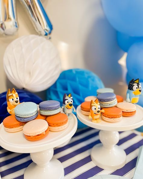 Bluey party inspo🩵 Swipe 👉🏻 to see the details Fun fact: you can download activity packs from Bluey Tv’s website! There’s coloring sheets, bingo cards, and word searches! P.S. we have a Bluey collection on our website! ____ #bluey #blueyparty #blueypartytheme #kidspartythemes #partyessentials #giftsgalore #celebrationcentral #festivefinds #partyperfection Fourth Birthday Bluey, Bluey Summer Party, Bluey Birthday Party Pizza, Bluey Beach Party, Bluey Treats, Bluey Themed Second Birthday, Bluey Themed Third Birthday, Bluey Party Games, Bluey Party Decorations