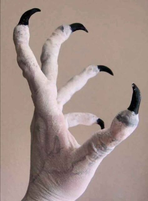 How to make elongated fingers with monster claws Monster Claws, Demon Costume, Masque Halloween, Bird Costume, Dragon Costume, Black Birds, Idee Cosplay, Cosplay Tutorial, Special Effects Makeup