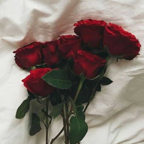 Stream 𝐅𝐋𝐎𝐖𝐄𝐑𝐒 𝐅𝐑𝐎𝐌 𝟏𝟗𝟕𝟎 by yen ✿ | Listen online for free on SoundCloud Red Flower Wallpaper, Edward Said, Romantic Mood, Red Flower, A Romantic, Flower Wallpaper, Red Roses, I Love You, Roses