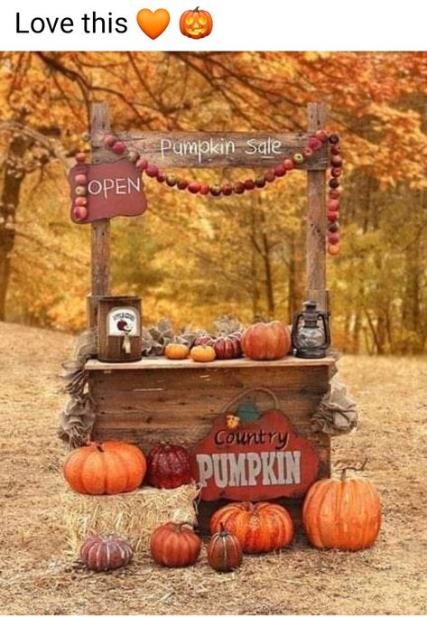 Fall Photo Booth, Pumpkins For Sale, Fall Backdrops, Pumpkin Stands, Photo Halloween, Halloween Party Decorations, Fall Mini Sessions, Harvest Party, Fall Fest