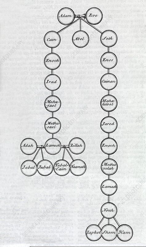 Adam and Eve family tree, 18th century - Stock Image - C013/7820 ... Family Tree Of Adam And Eve, Bible Family Tree From Adam And Eve, Old Testament Family Tree, Adam And Eve Family Tree, Genesis Family Tree, Adam And Eve Notes, Jesus Family Tree, Bible Family Tree, Family Chart