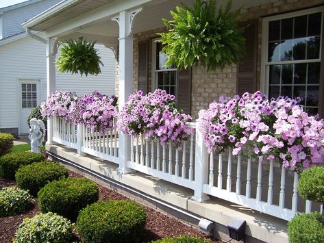 Porch Landscaping, Landscaping With Large Rocks Front Yard, Porch Flowers, Landscaping With Boulders, Front Yard Garden Design, Fall Garden Vegetables, Front Porch Ideas Curb Appeal, Landscaping With Large Rocks, Rock Garden Landscaping